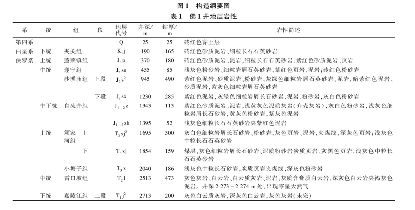 樂山大佛景區(qū)區(qū)域地熱資源開發(fā)遠景分析-地大熱能